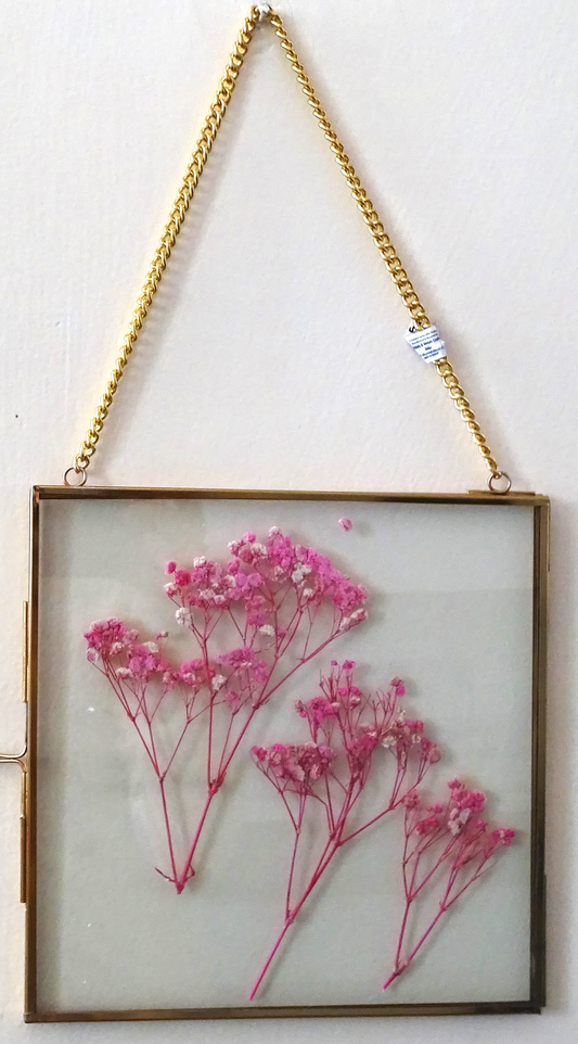 Vintage Frames with Preserved Flowers