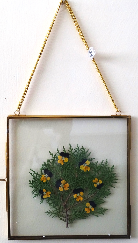 Vintage Frames with Preserved Flowers