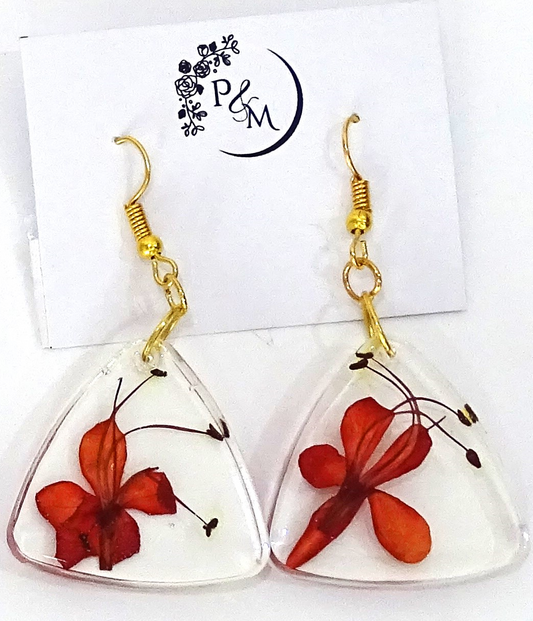 Earrings with preserved "Flaming Glorybowar" flower