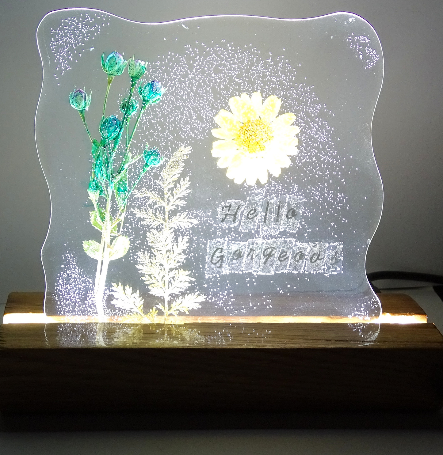 Night Lamp with  "Daisy" Preserved Flowers