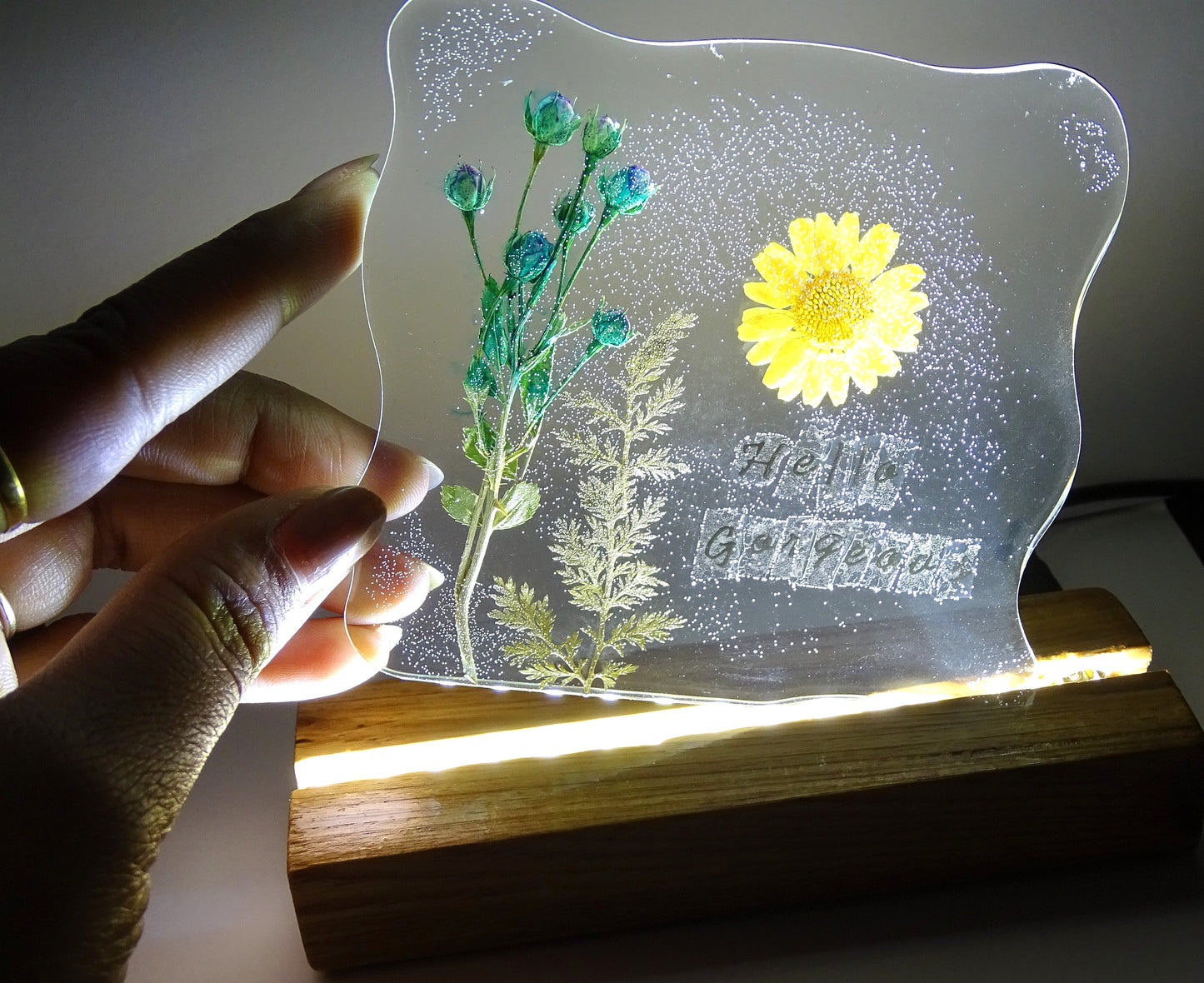 Night Lamp with  "Daisy" Preserved Flowers