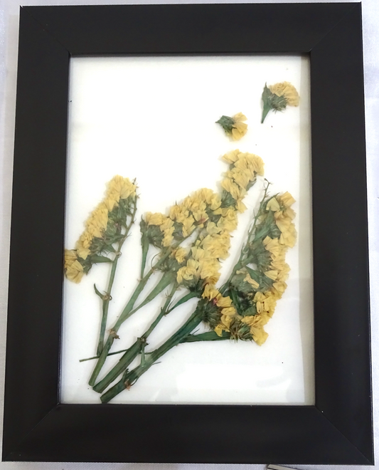 Artistic Wall Frames with Real Preserved Flowers