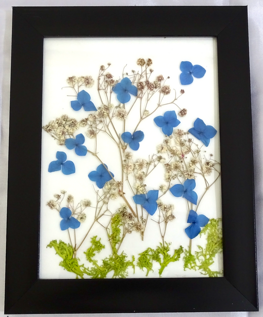 Artistic Wall Frames with Real Mixed Preserved Flowers