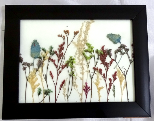 Artistic Wall Frames with Real Mixed Preserved Flowers