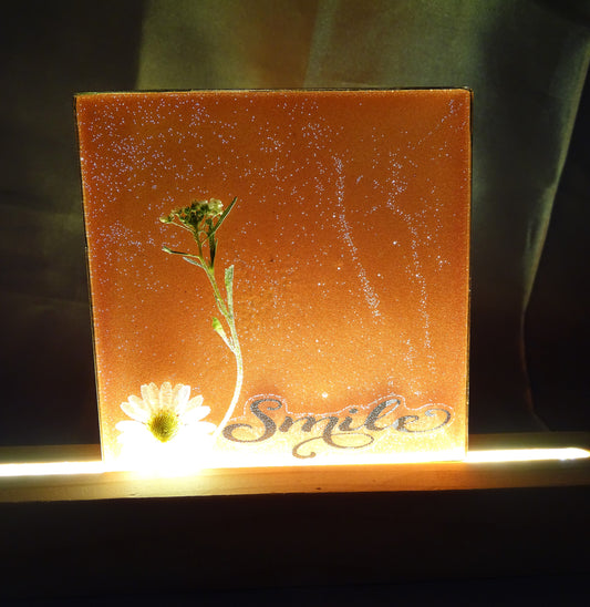 Night Lamps with Preserved "Daisy" Flowers