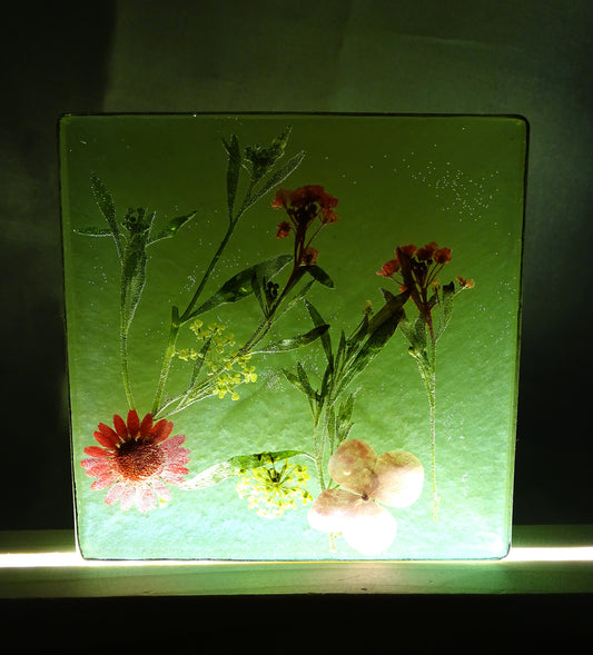 Night Lamps with Preserved Assorted Flowers