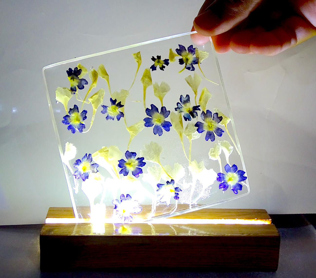 LED Lamps with preserved flowers
