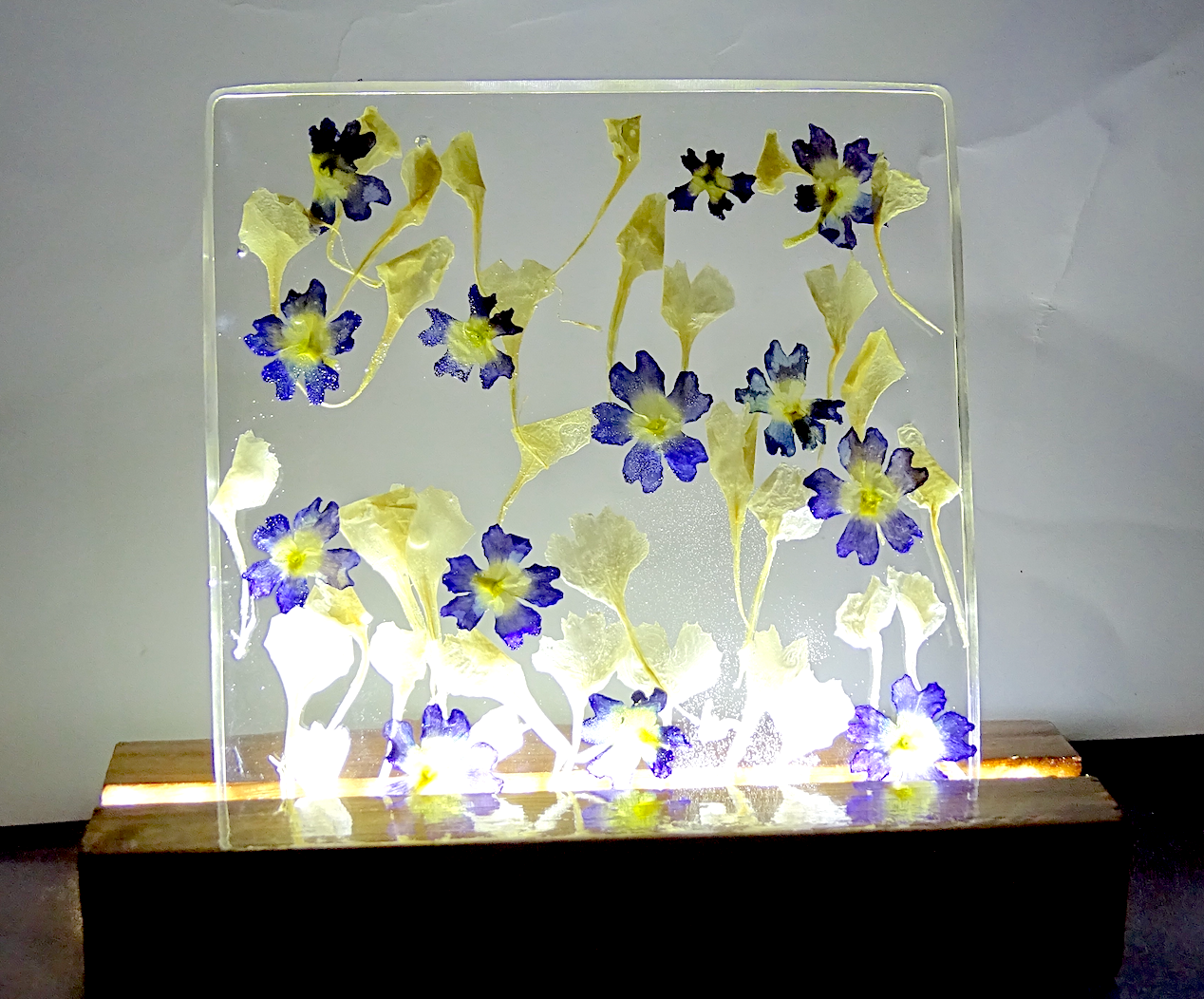 Night Lamp with Preserved "Purple Verbena" Flowers