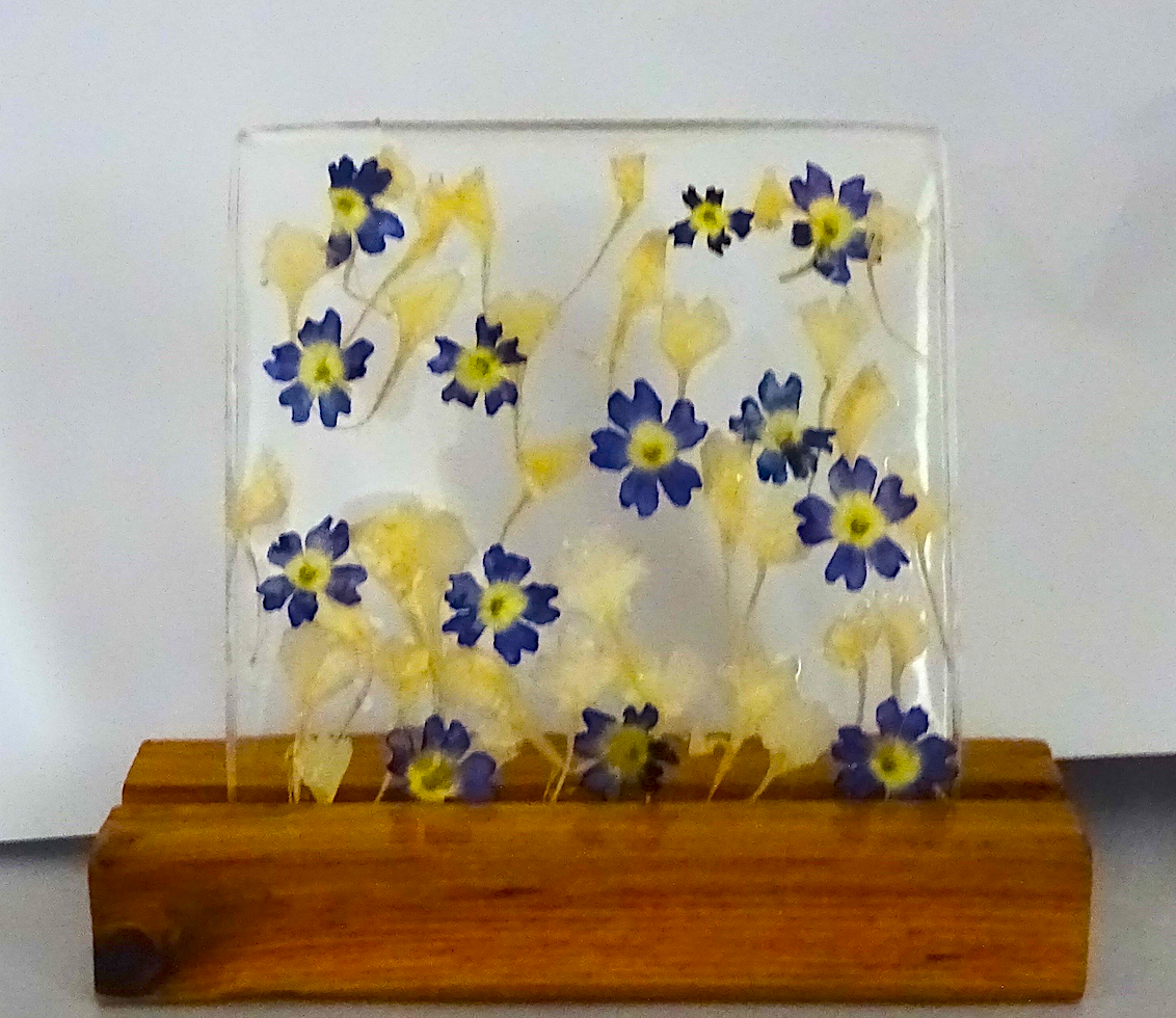 LED Lamps with preserved flowers