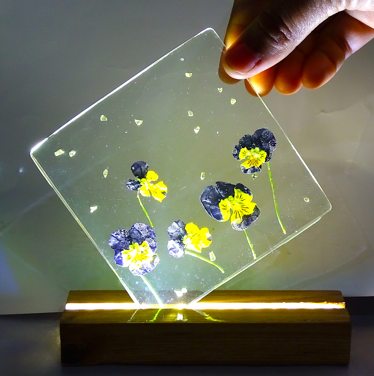 Night Lamps with Preserved  "Pancy" Flowers