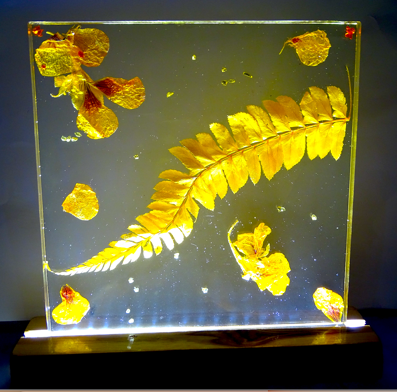 Night Lamp with Yellow Preserved Flowers